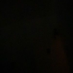 Meet your Posher, Jerry